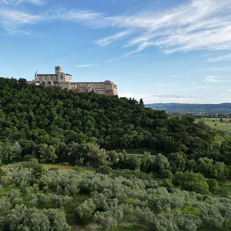 La Casa Tra Gli Ulivi Bed & Breakfast Assisi Exterior foto