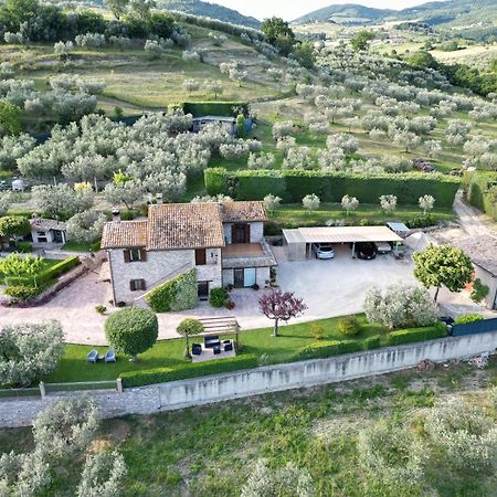 La Casa Tra Gli Ulivi Bed & Breakfast Assisi Exterior foto