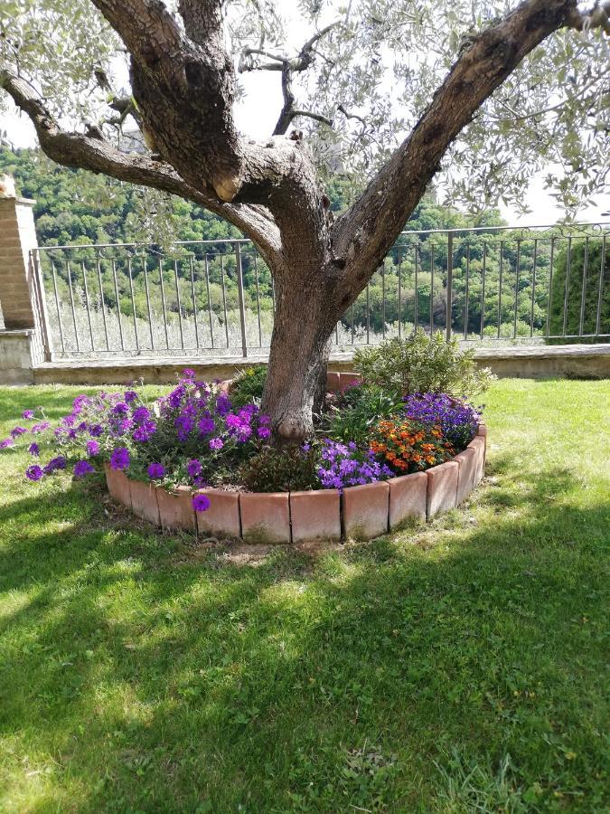 La Casa Tra Gli Ulivi Bed & Breakfast Assisi Exterior foto