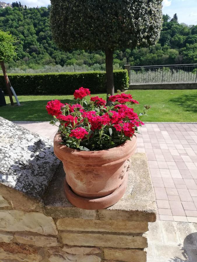 La Casa Tra Gli Ulivi Bed & Breakfast Assisi Exterior foto
