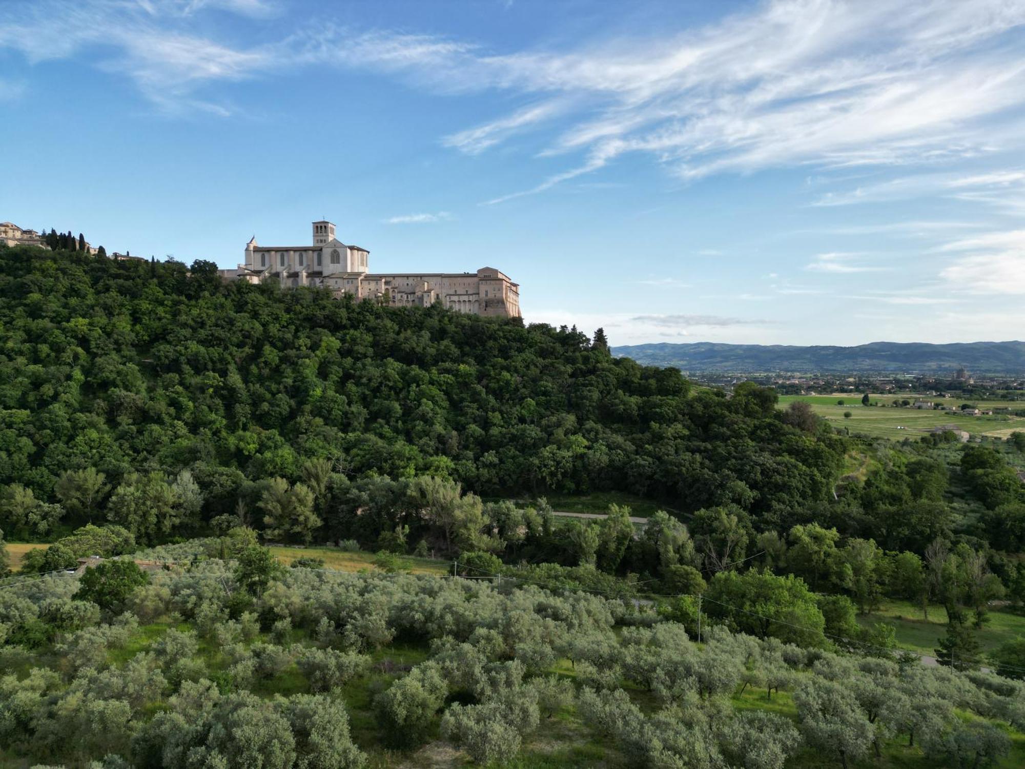 La Casa Tra Gli Ulivi Bed & Breakfast Assisi Exterior foto