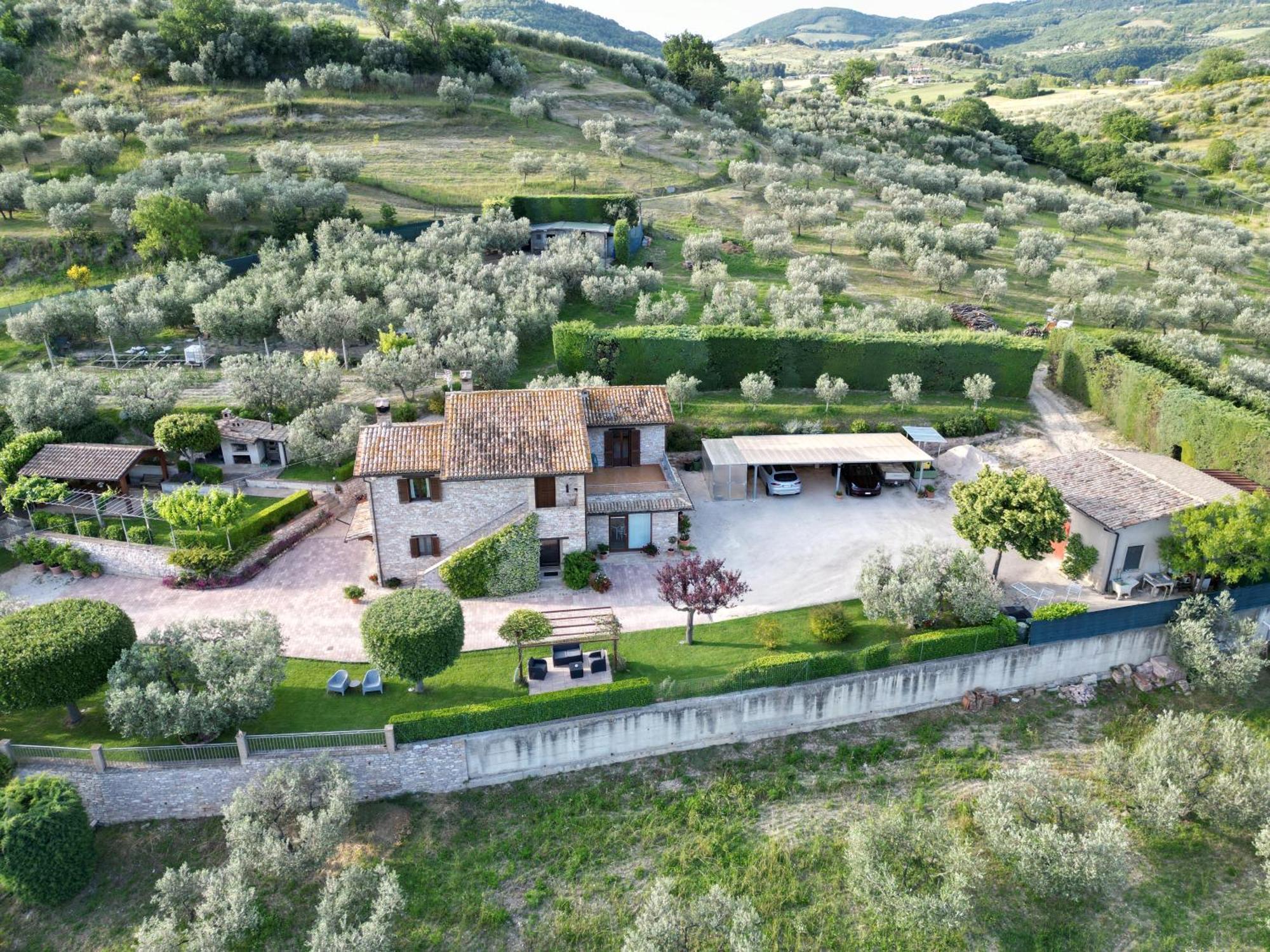 La Casa Tra Gli Ulivi Bed & Breakfast Assisi Exterior foto